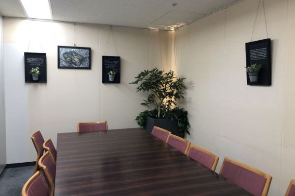コモレビズが手がけた環境省内の会議室。既存の会議室に緑の導入や、照明効果で、リラックス効果のある環境を整えた（※）