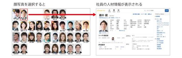 「カオナビ」社員情報の表示画面（※）