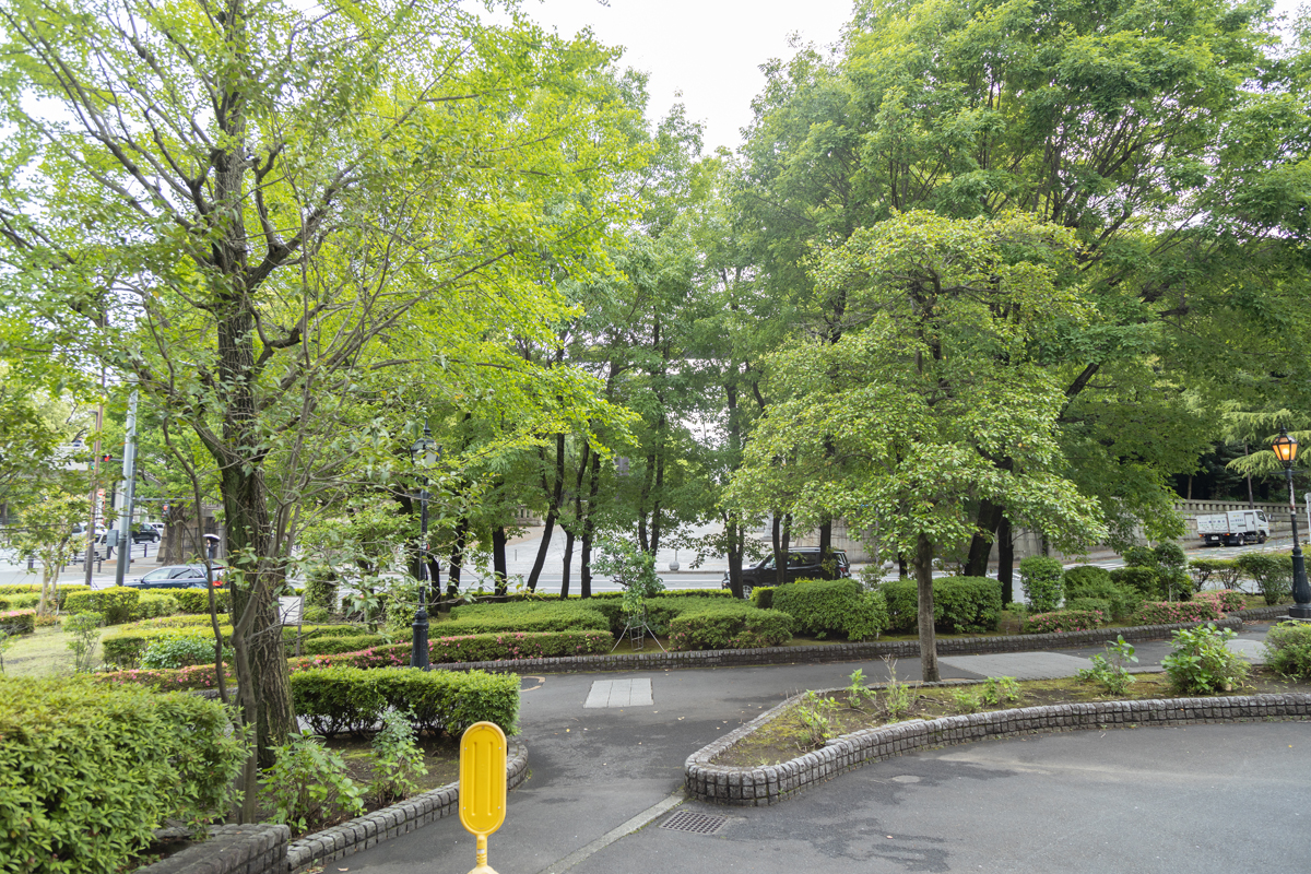 植え込みの向こうは靖国神社。静かで落ち着く雰囲気だ