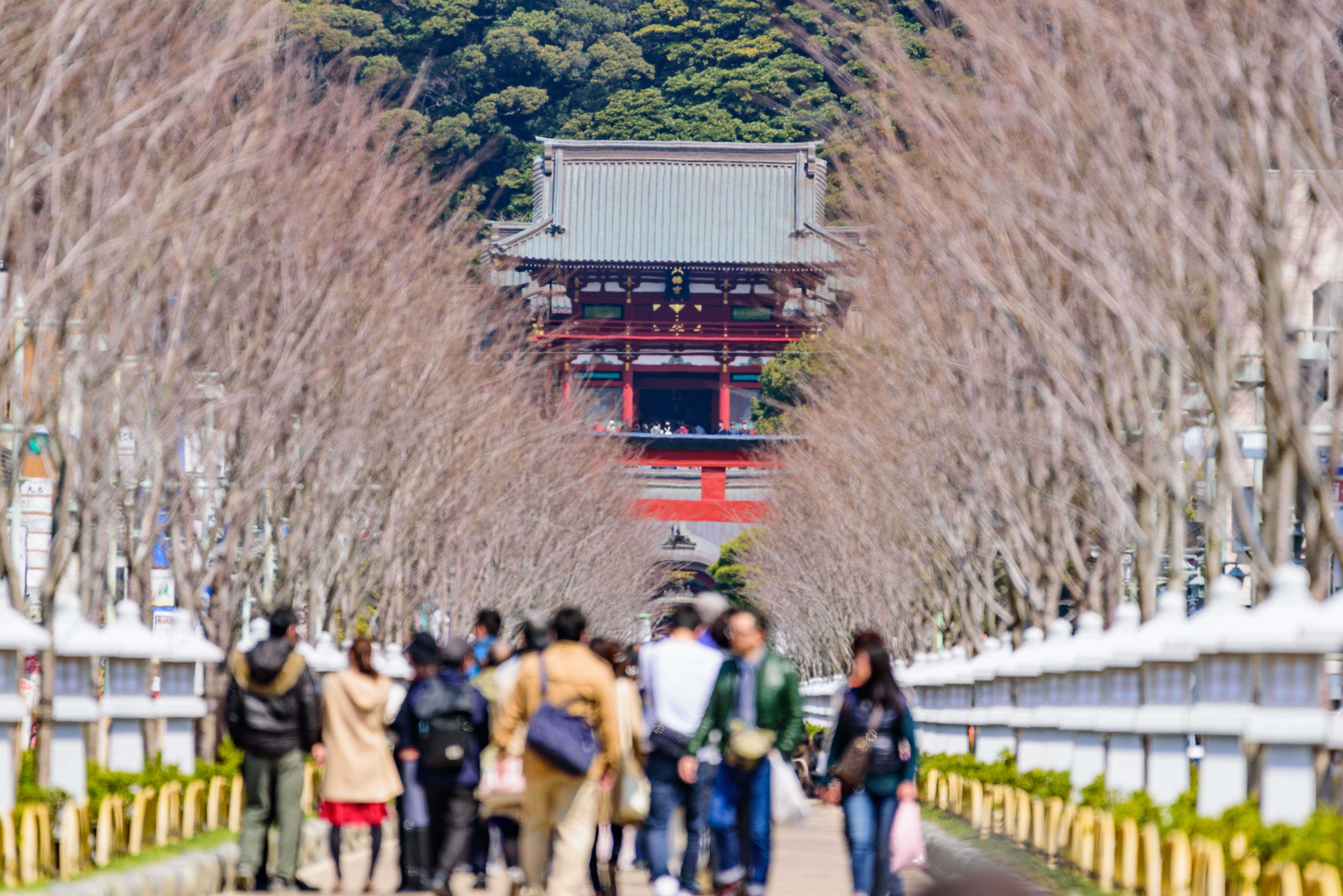 キャプテンフック / AdobeStock（※）