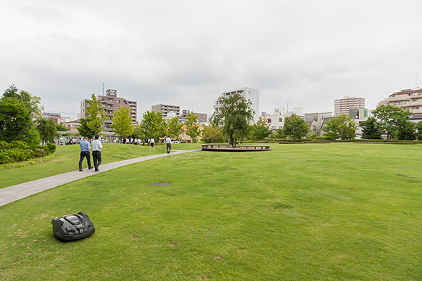 オフィスビル裏手は、少し丘になった中庭が広がります。エントランス側には猿江恩賜公園、裏手には中庭と、23区内では見たことがないレベルのグリーンの充実度です。