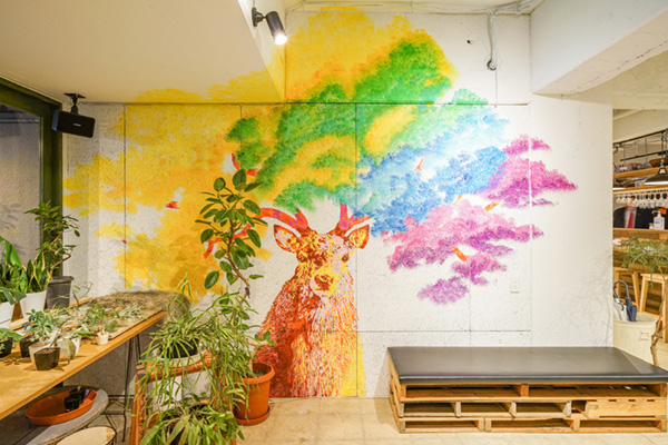こちらは入って左手の壁。壁にはLIG社員の画家 田中ラオウ氏による絵が描かれ、グリーンが豊かな空間になっています。