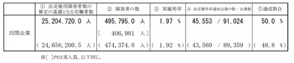 平成 29 年 障がい者雇用状況の集計結果（厚生労働省）（※）